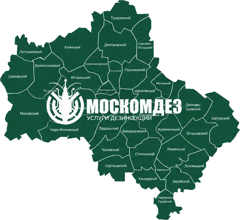 Карта выезда: Кубинка и Московская область